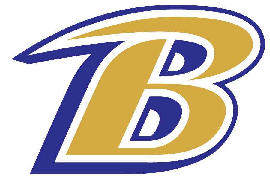 Baltimore Ravens 1999-Pres Alternate Logo fabric transfer